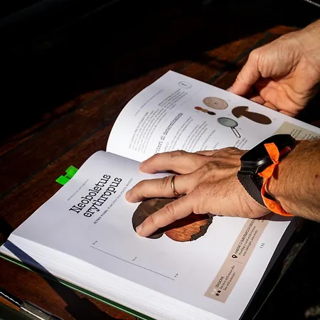 Casa Della Capra 3* 满哥索